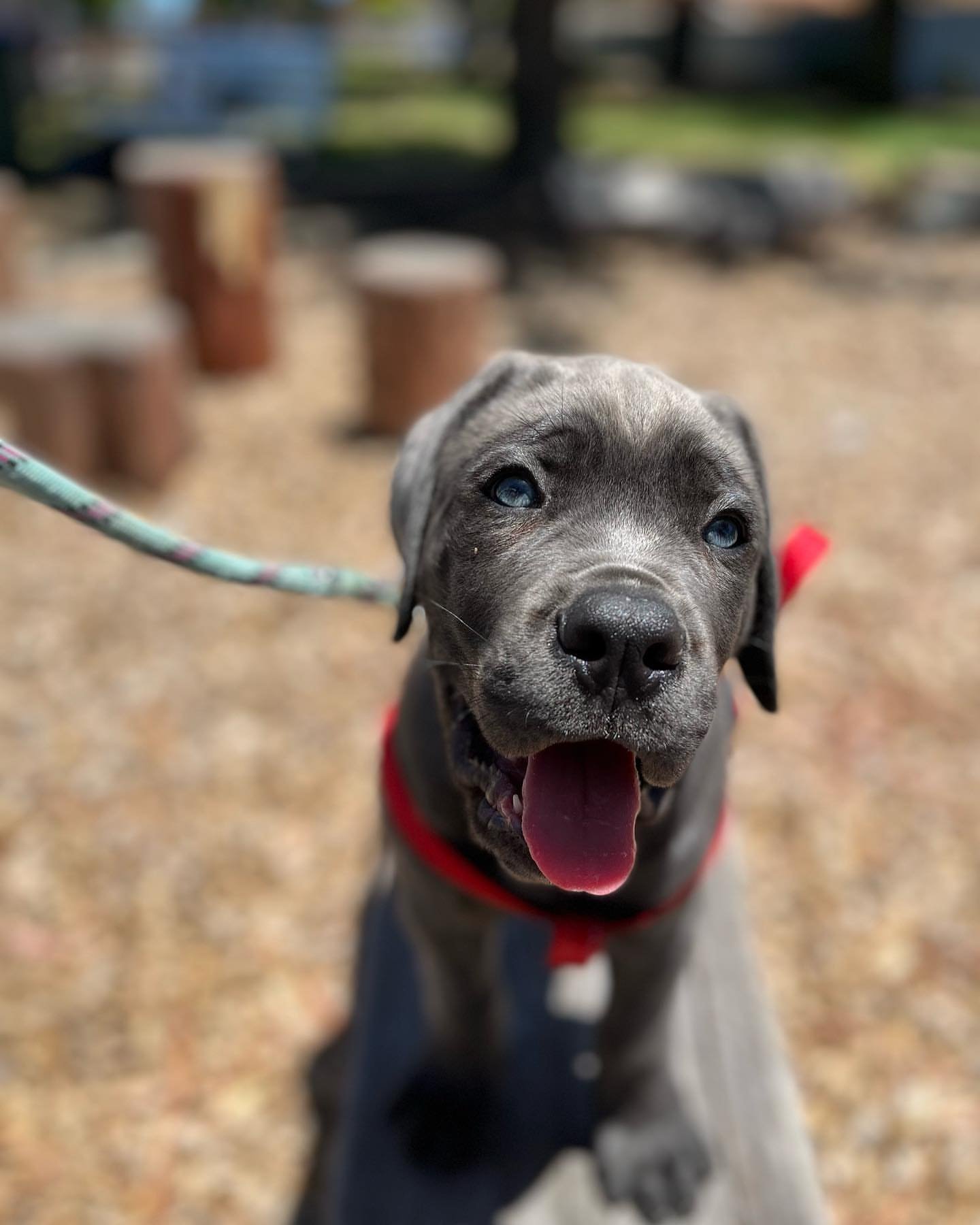 32b37b6f-060e-4bbf-bf6d-c1d938a4c238