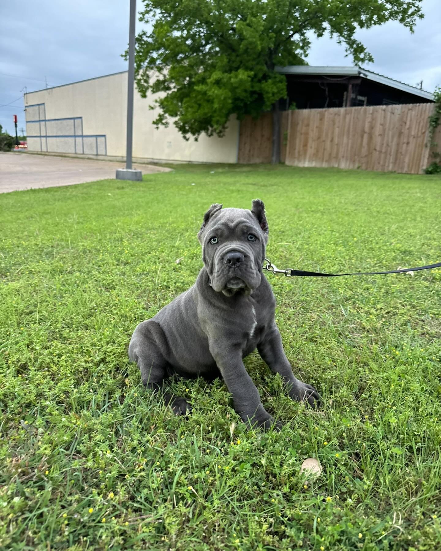 5e94fcdb-fb6c-4df0-a2fd-35e7b08c1ca9