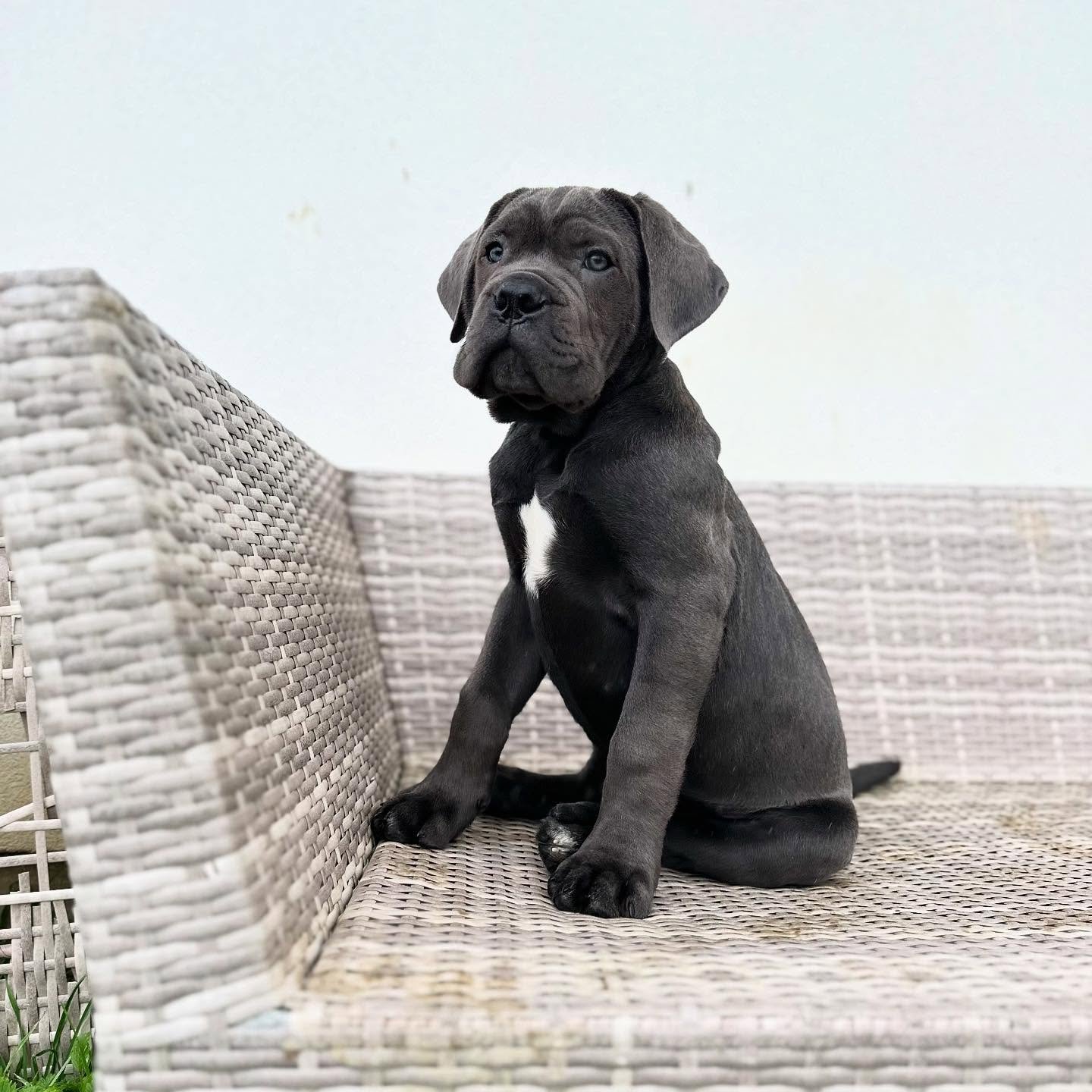 956395d7-2356-48da-9be0-8d2b900841af