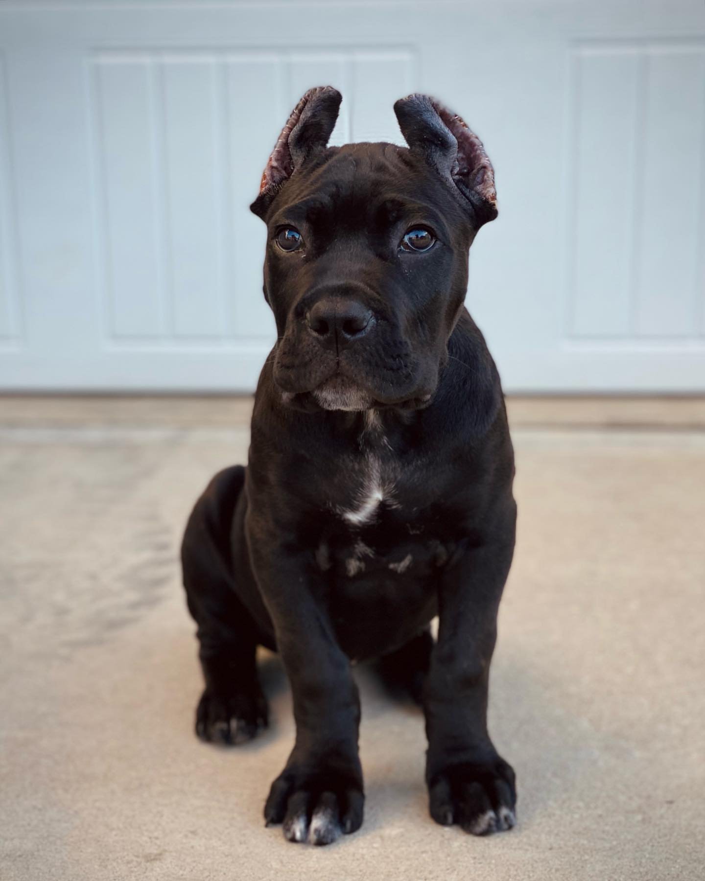 ladieslove.nas-20260125-0007