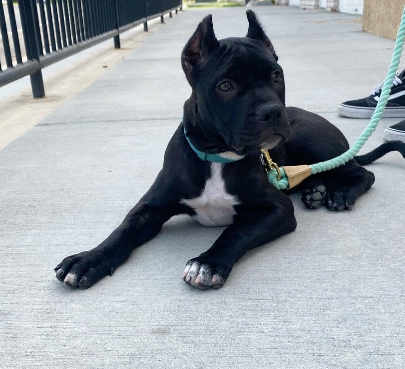 oakleytheecorso-20260125-0005